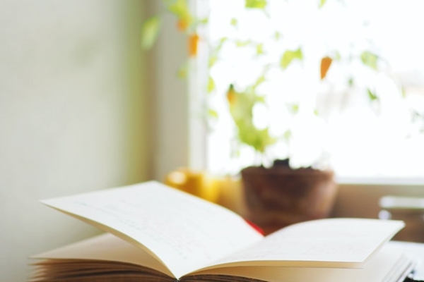 Visuel représentant au premier plan un livre ouvert
