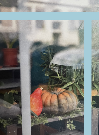 Visuel représentant un courge derrière une vitrine