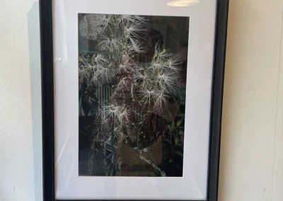 Photographie d’une Orchidée sous cadre